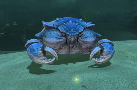  How to get the Orthos Craklaw mount in Final Fantasy XIV 