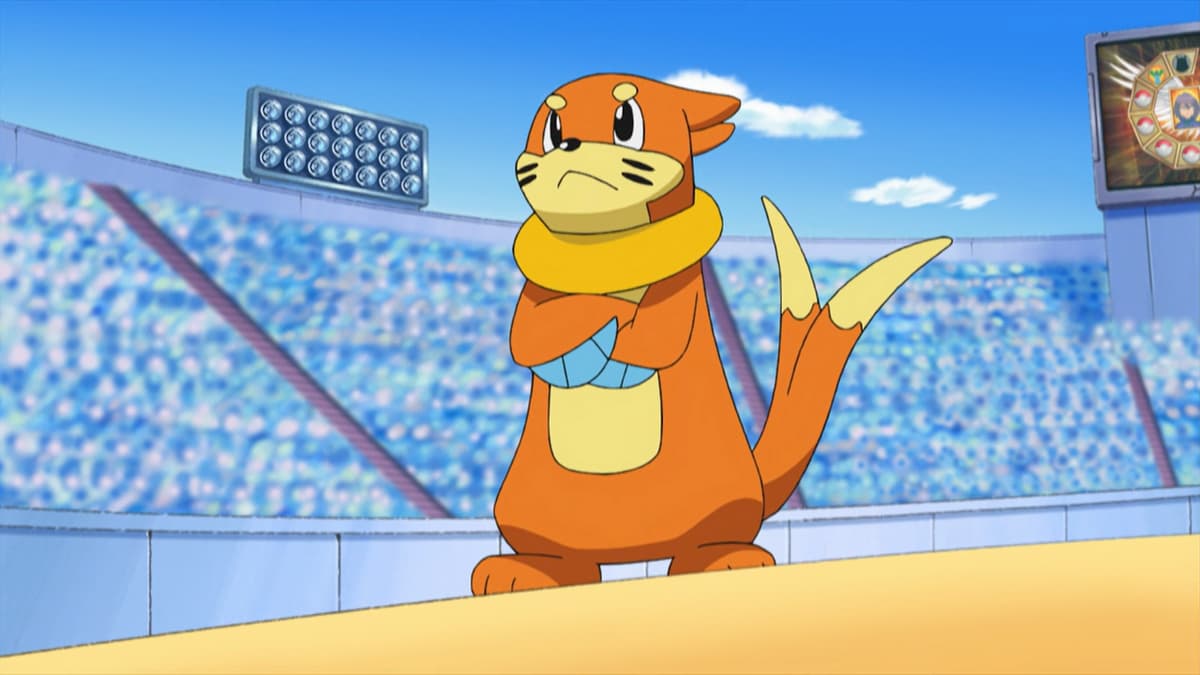 The Buizel used by Ash in Pokemon anime
