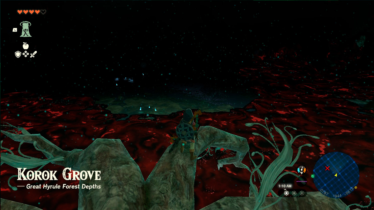 Tears of the Kingdom How to Find The Korok Forest in TotK