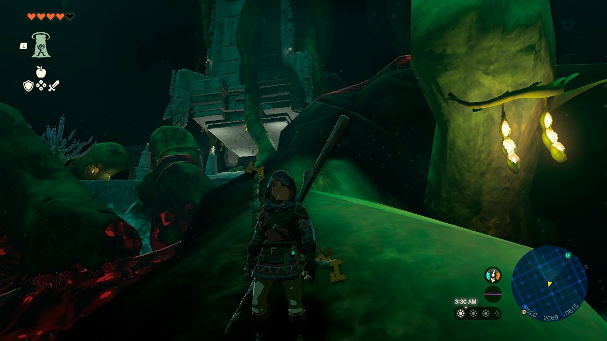 Tears of the Kingdom How to Find The Korok Forest in TotK