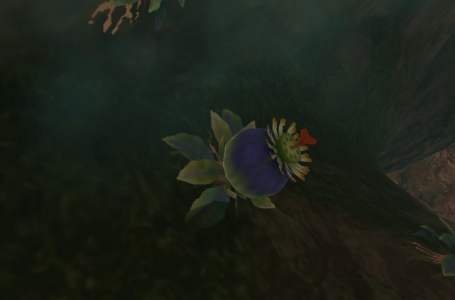  Tears of the Kingdom – How to farm Bomb Flowers 