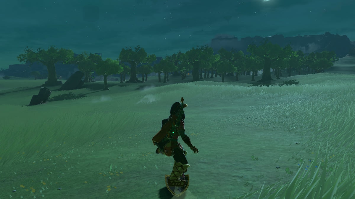 Tears of the Kingdom Item Duplication Glitch Shield Jump in TotK