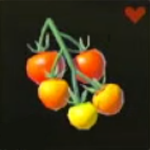 Hylian Tomatoes TotK