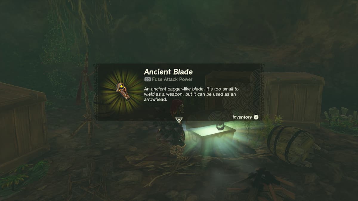 Tears of the Kingdom Where to Find Ancient Blades in TotK