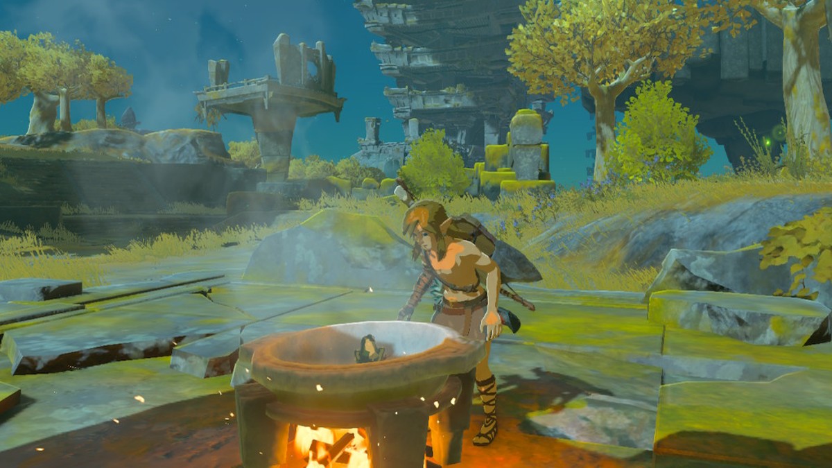 Tears of the Kingdom Fan Spots Emotional Easter Egg While Cooking Gamepur
