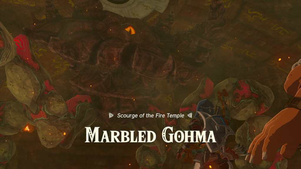 The Legend of Zelda Tears of the Kingdom Marbled Gohma Name Artwork