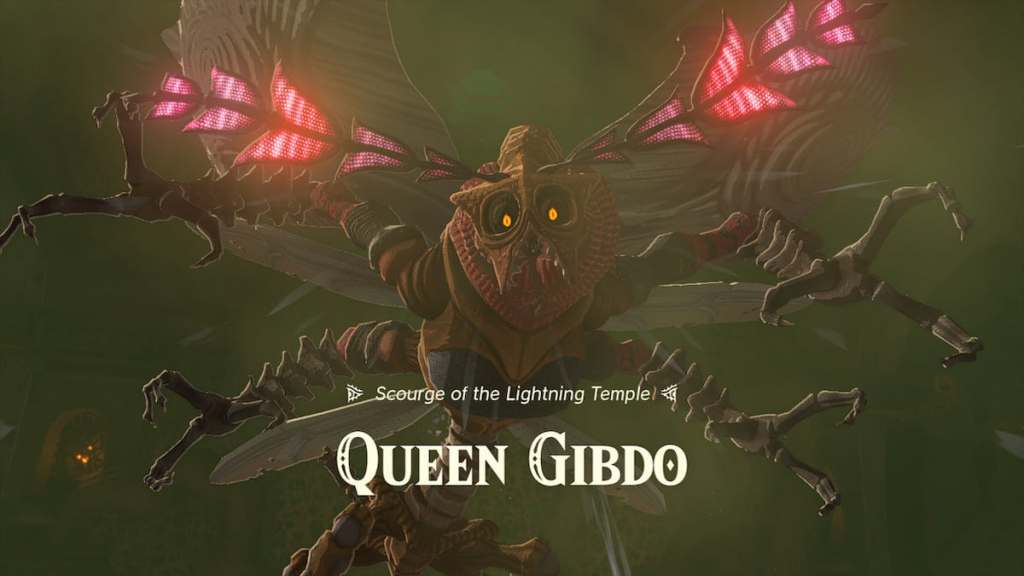 The Legend of Zelda Tears of the Kingdom Queen Gibdo Title Card