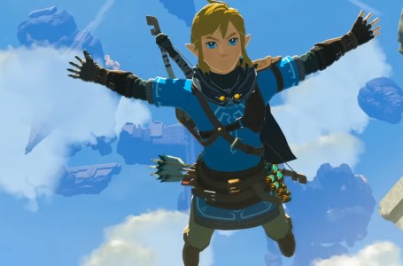  Zelda Fan’s Love for Gaming Rekindled Thanks to Tears of the Kingdom 