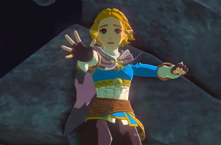  Tears of the Kingdom Fan Unites Zelda Players Before Launch “Cherish These Few Days” 