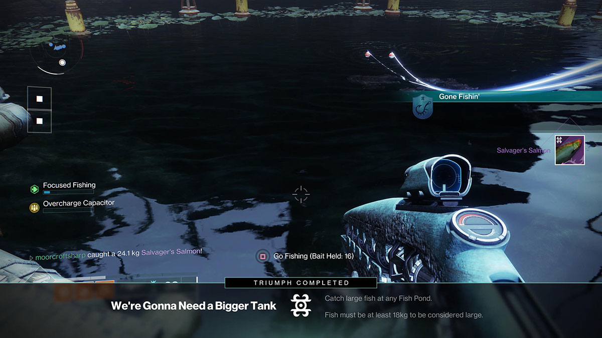 Destiny 2 Fishing Guide: How To Fish, All Locations & Focused Fishing