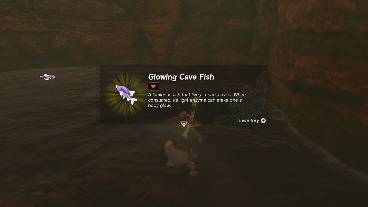 poisson-grotte-lumineux-la-légende-de-zelda-les-larmes-du-royaume