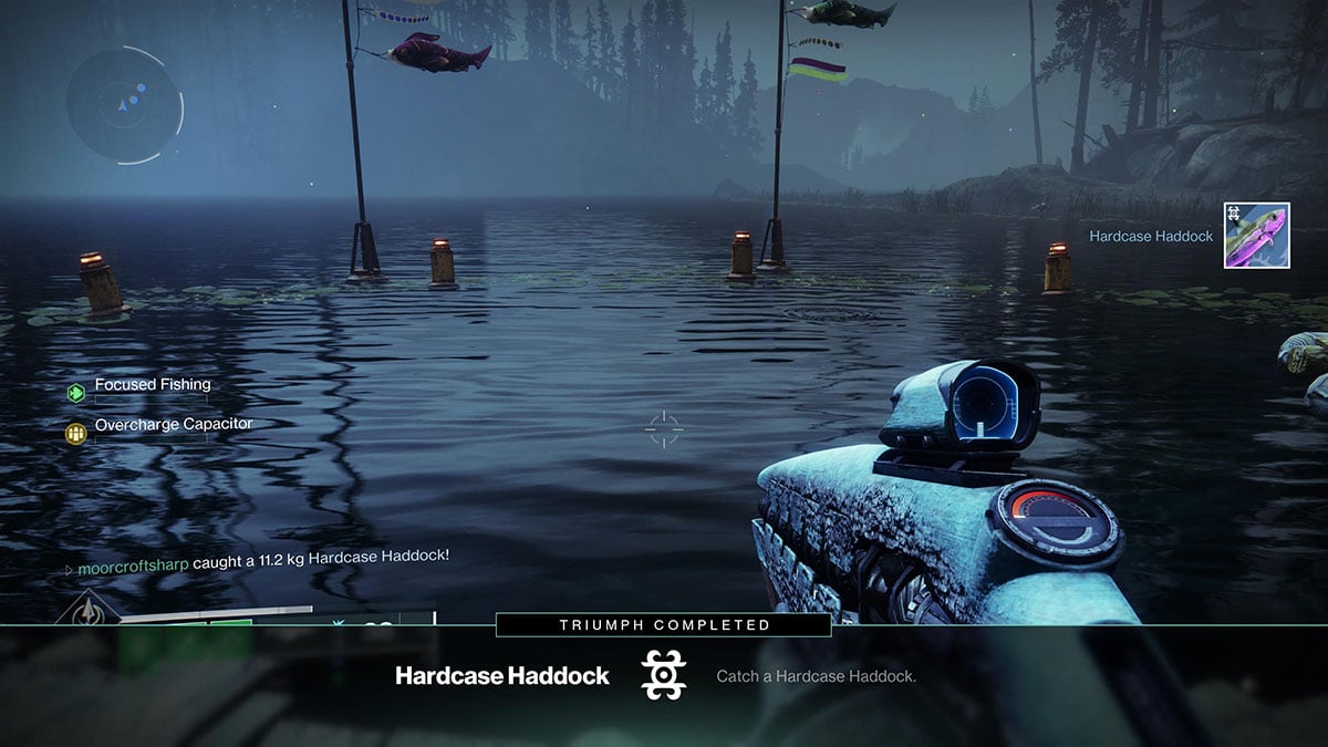 hardcase-haddock-destiny-2-fish