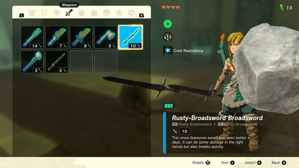 link-with-a-boulder-shield-and-two-swords