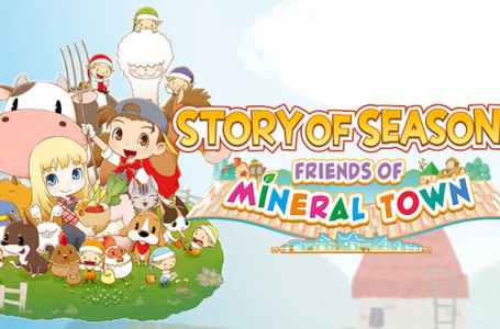  Is Story of Seasons: Friends of Mineral Town Multiplayer? 
