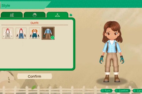  Story of Seasons: A Wonderful Life Remake Outfits Guide 