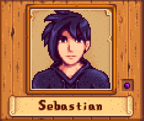 Sebastian in Stardew Valley