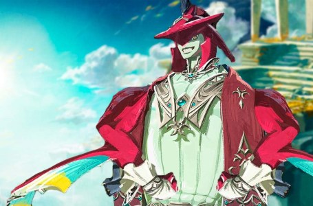  Tears of the Kingdom’s King Sidon Has A Lot Of Growing To Do, According To Fans 