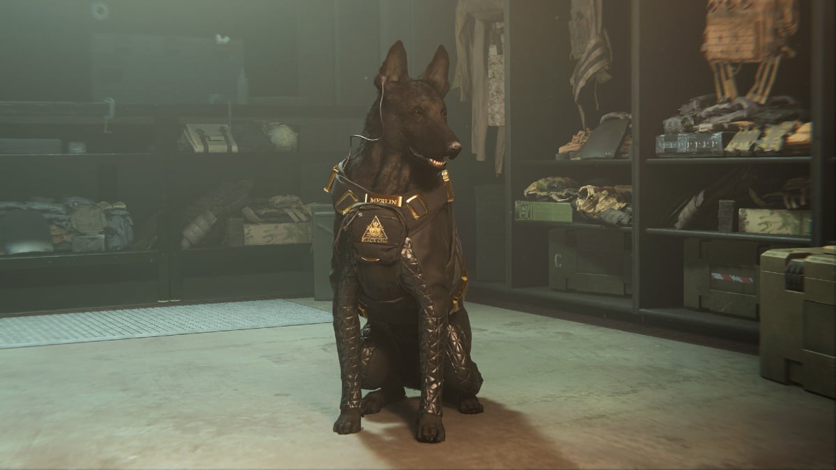 Faithful companions can join Operators on the battlefield in Warzone 2.
