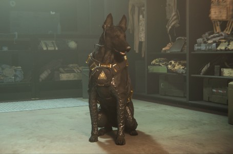  Call of Duty: Modern Warfare 2 & Warzone Season 5 Patch Notes, Bring Your Pet to War Day 