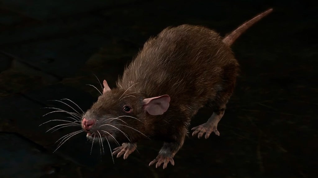 bg3 screenshot of skittle the rat