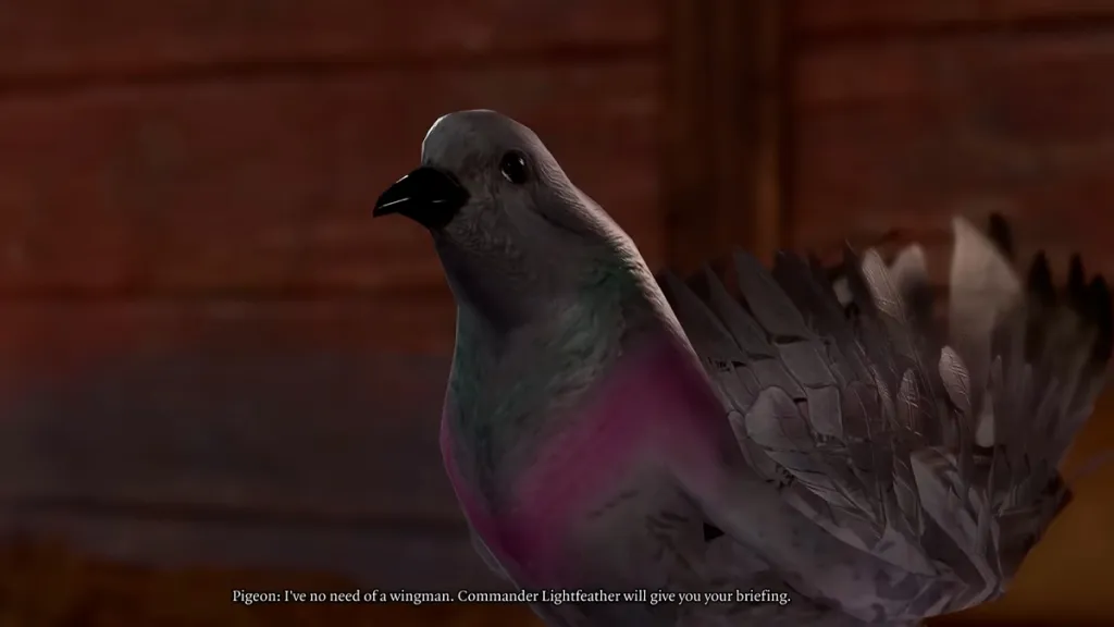 bg3 screenshot of a pigeon telling the player commander lightfeather will give them a briefing