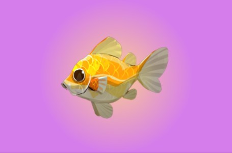  Palia: Radiant Sunfish Location – How to Catch Radiant Sunfish 