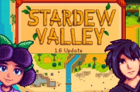 Stardew Valley Devs Tease 1.6 Update Content Ahead Of Release 