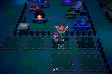  How to Grow a Pink Flower in Fae Farm 