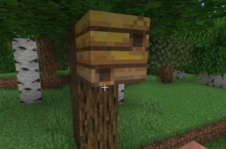 Minecraft: How To Move A Beehive