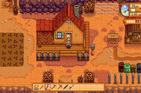  13 Cozy Games To Play On Steam Deck For Fall 