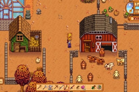  Stardew Valley: How To Get Hay to Feed Your Farm Animals 