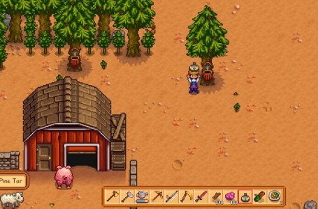  How to Get Pine Tar in Stardew Valley 