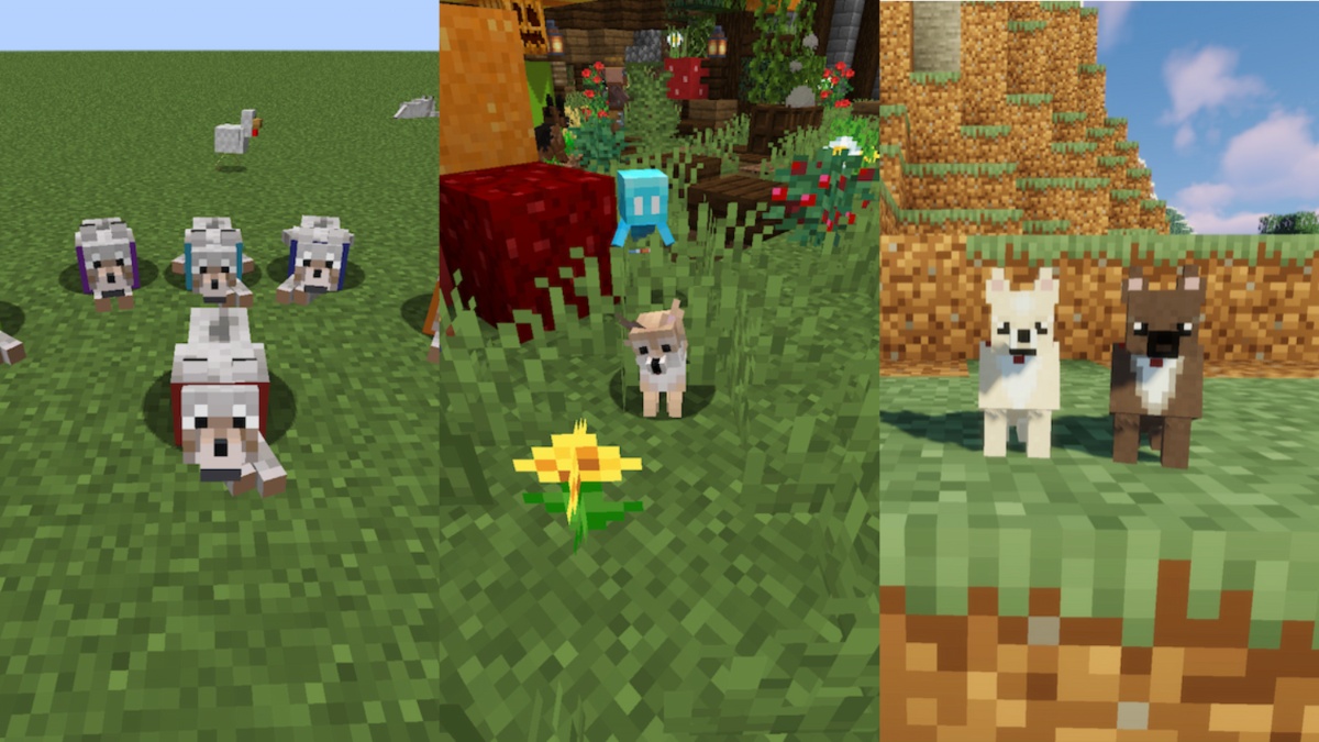 Top 10 Minecraft Dog Mods That Pair Perfectly With Armadillos Update ...