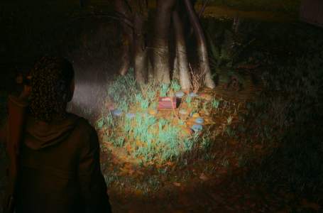  All Lunch Box Locations at Bright Falls in Alan Wake 2 
