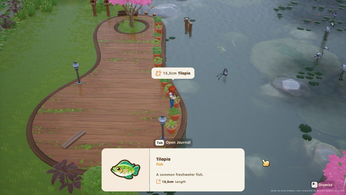 Coral Island Fishing: How to Fish, Upgrade Tools & Use Bait - Gamepur