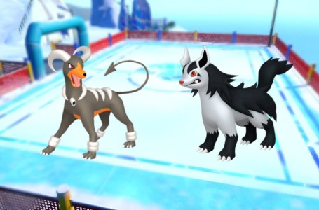 Pokemon Go Players Debate Which Dark Dog Is The Best Boy