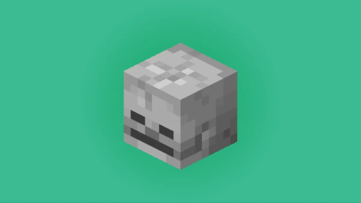 Minecraft Skull Head