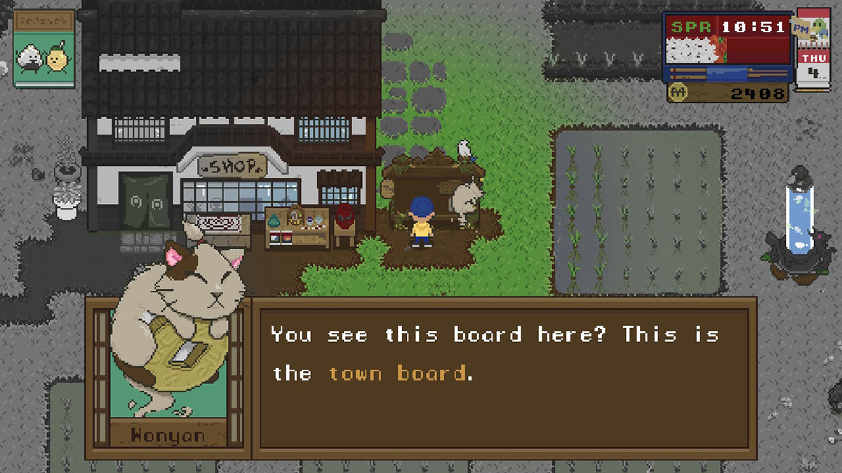 town-boar-din-spirittea