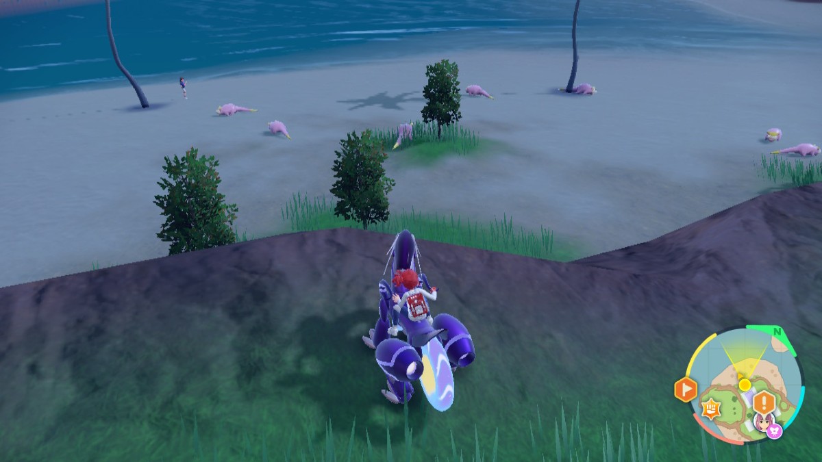Pokemon Indigo Disk screenshot of a group of galarian slowpoke on a beach in the coastal biome.