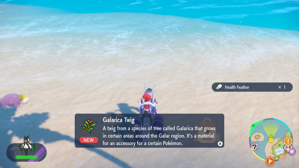 Pokemon Indigo Disk screenshot of a player character picking up a Galarica Twig off of the beach in the Coastal Biome.