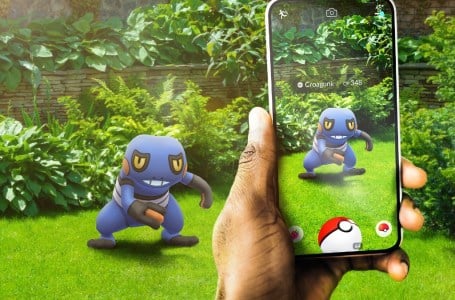  Pokemon Go To Remove Shared AR Feature, & Nobody Knows What That Means 