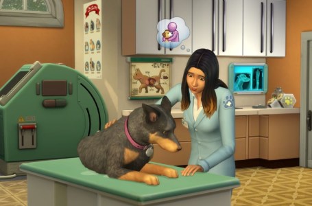  Every Video Game Where You Can Pet a Dog, Ranked 