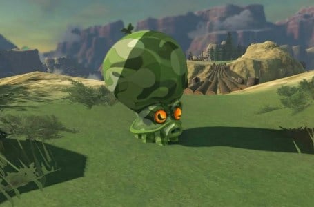  Where to Find Octorok Eyeballs in Legend of Zelda: Tears of the Kingdom (and Best Uses) 