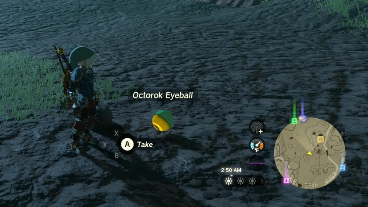 A nightime scene. Link stands on a rugged packed dirt terrain with some scattered blades of grass. He looks down at a labeled Octorok Eyeball which floats above the terrain. To the side, a small display shows a map of his location. 