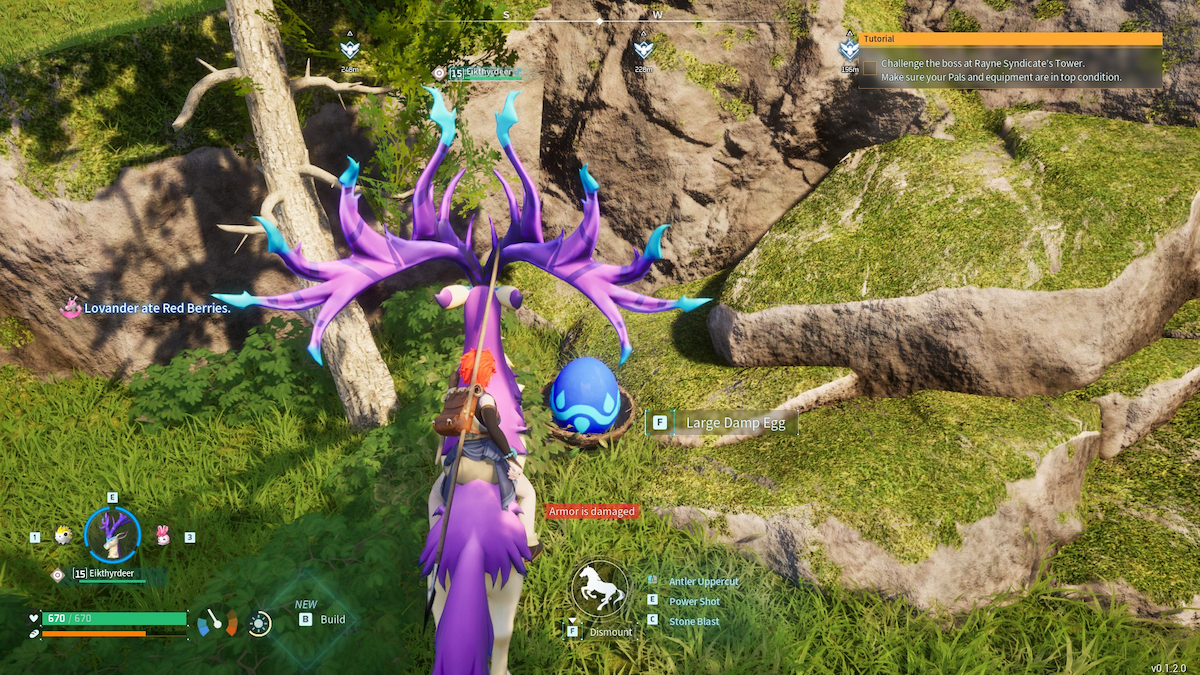 Crash their eggs. Куриные яйца. Треснутое яйцо. Разбитое яйцо на белом фоне. Crash their eggs.