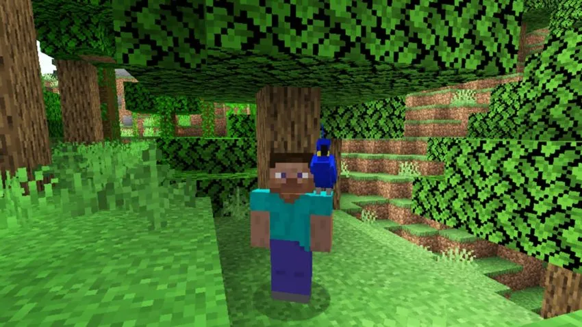 Steeve from Minecraft looking at the camera