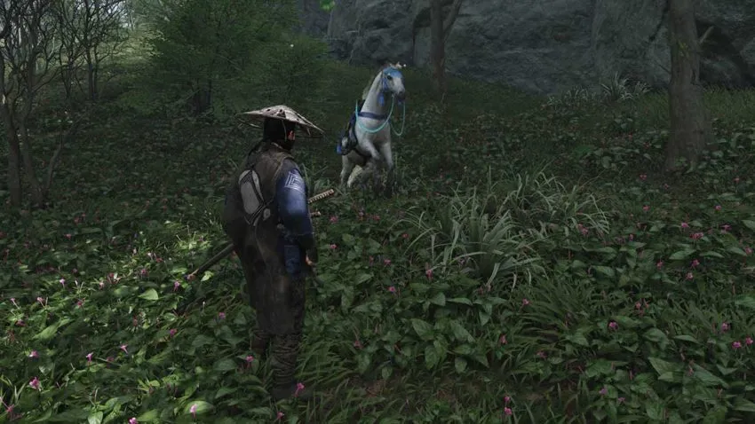 how-to-get-your-horse-back-on-iki-island-in-ghost-of-tsushima