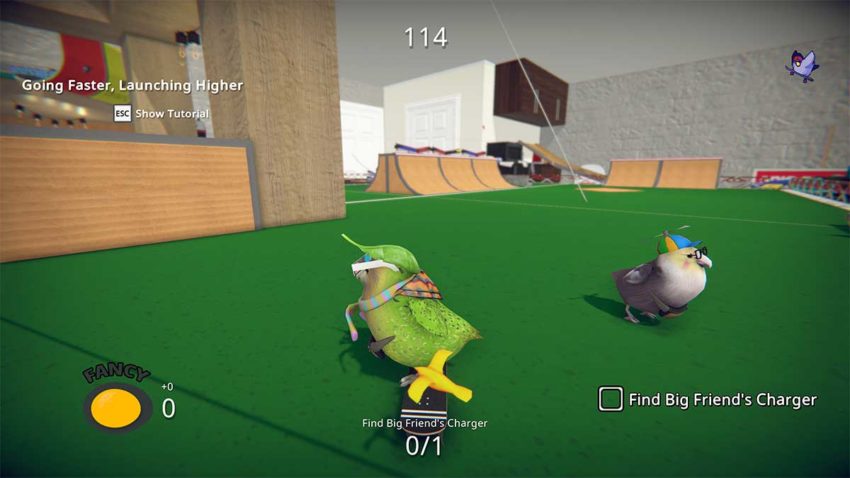 skaebird-skateboarding