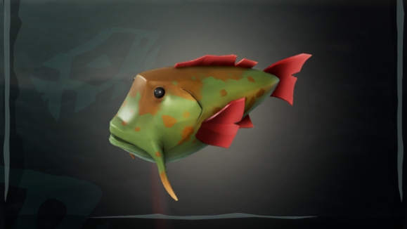 Fish The Sea of Thieves Wiki