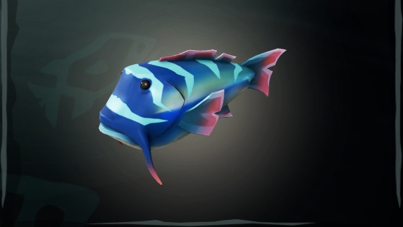 Fish The Sea of Thieves Wiki
